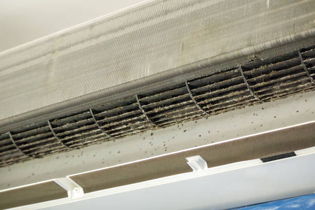 Best Affordable Air Duct Cleaning  in Mccordsville, IN